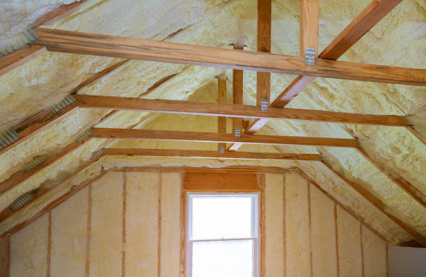 Best Insulation Installation Services in Linden, MI
