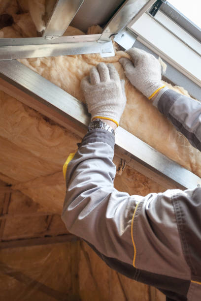 Best Commercial Insulation in Linden, MI