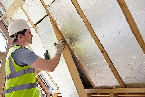Best Residential Insulation in Linden, MI